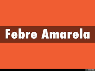 Patologias Virais II