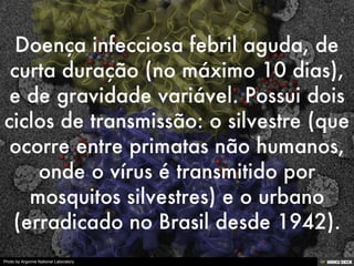 Patologias Virais II