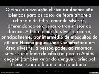 Patologias Virais II