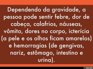 Patologias Virais II