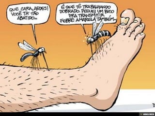 Patologias Virais II