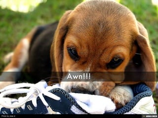 Patologias Virais II