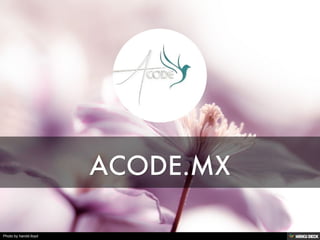 ACODE.MX 