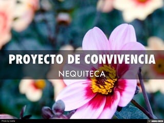 PROYECTO DE CONVIVENCIA  NEQUITECA 