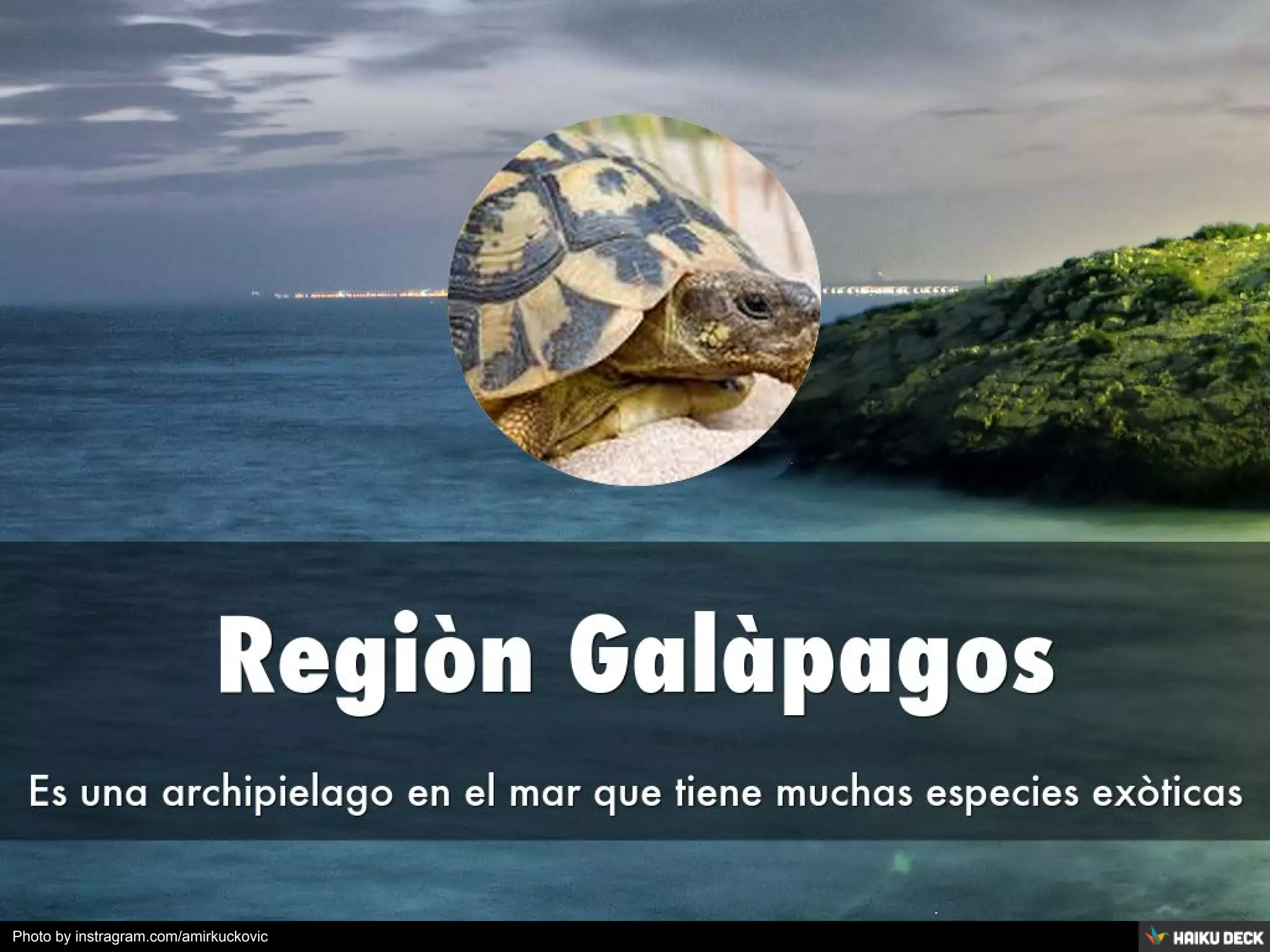 Photo by instragram.com/amirkuckovic
 