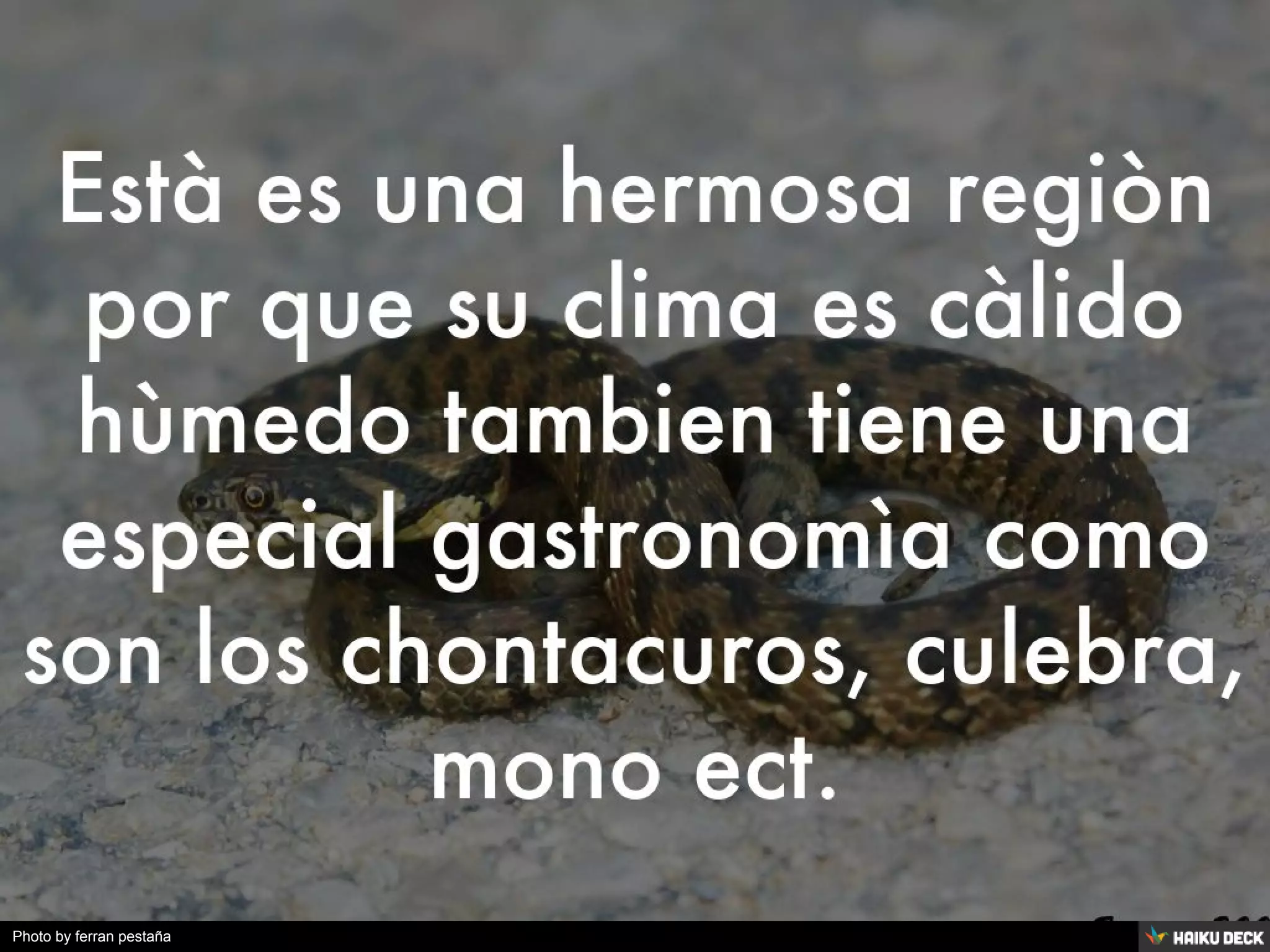 Photo by ferran pestaña
 