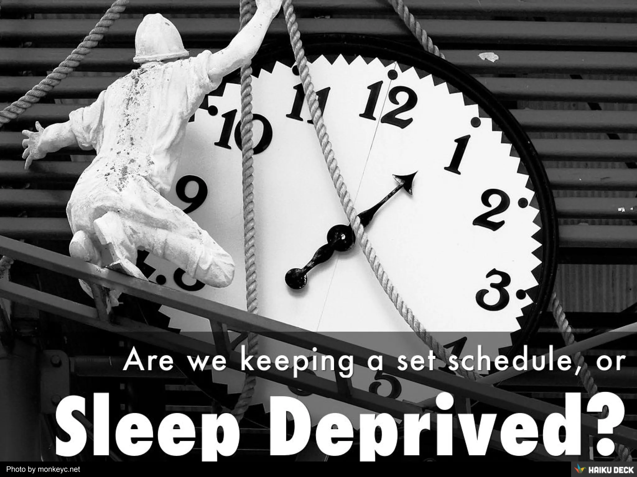 Photo by monkeyc.net