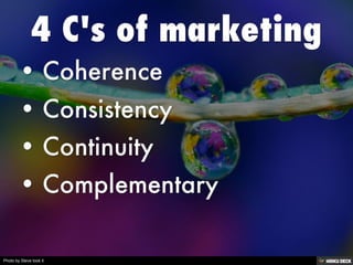 Photo by Steve took it