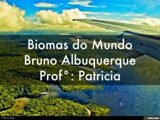 Biomas do Mundo Bruno Albuquerque Prof°: Patricia 