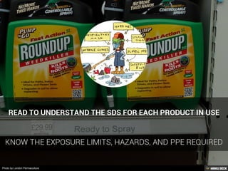 Photo by London Permaculture
 