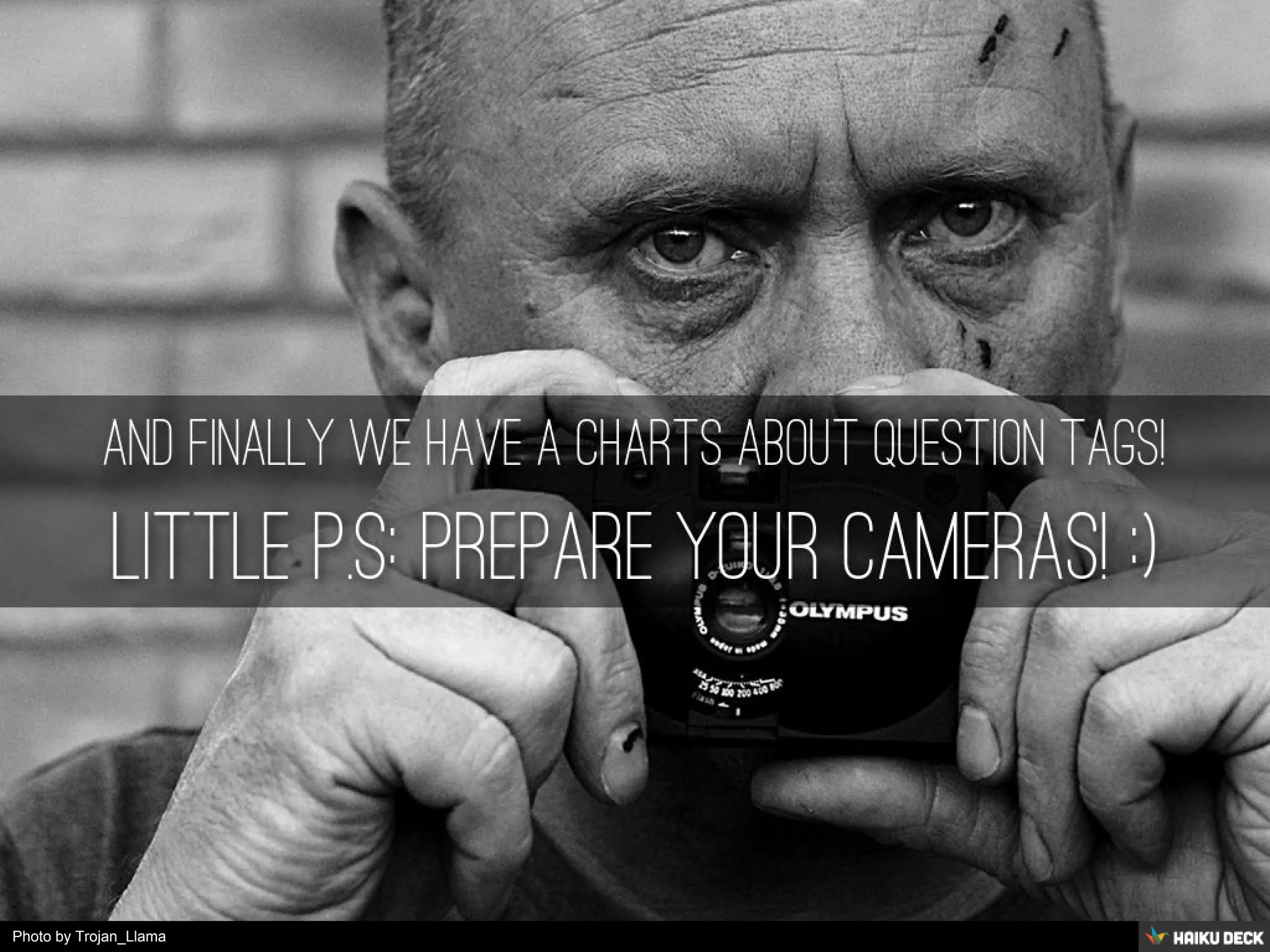 Photo by Trojan_Llama