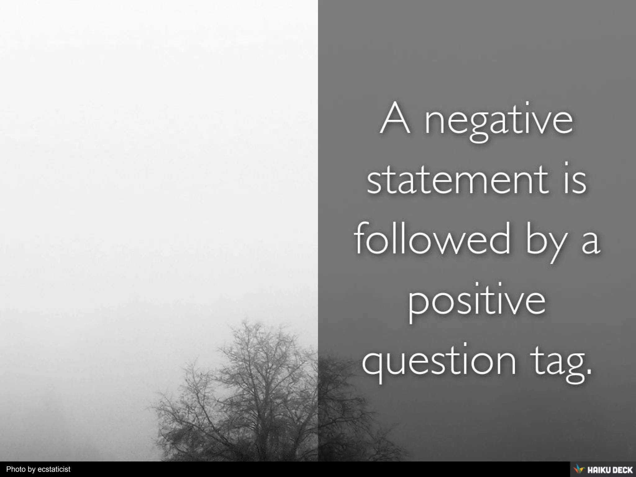 Photo by ecstaticist