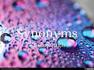 Photo by Nina Matthews Photography
 