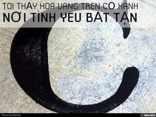 Photo by Leo Reynolds