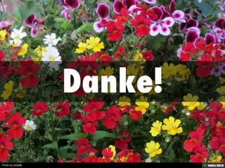 Photo by dirkb86
 