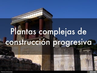 Photo by mertxuovejas