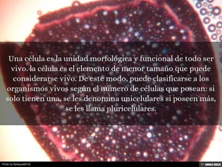 Photo by Sahaquiel9102
 