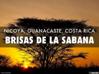 BRISAS DE LA SABANA  NICOYA, GUANACASTE, COSTA RICA 