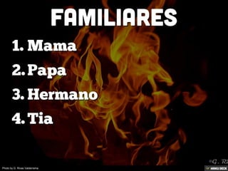 Photo by G. Rivas Valderrama
 