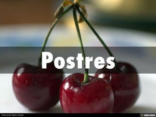 Photo by M. Martin Vicente
 