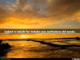 Photo by Pavel Sigarteu
 