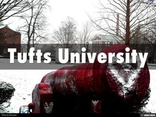 Tufts University 