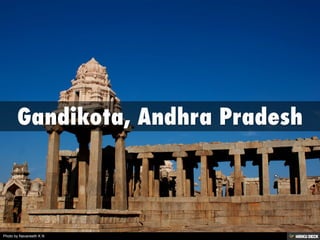 Photo by Navaneeth K N
 