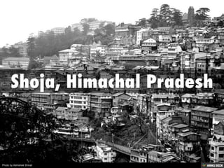 Photo by Abhishek Shirali
 