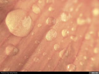 Photo by A Guy Taking Pictures