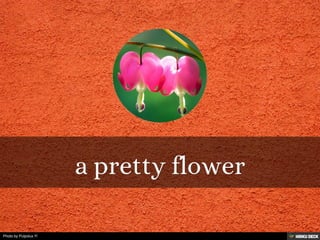 Photo by Pulpolux !!!
 