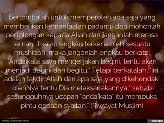 Photo by seyed mostafa zamani