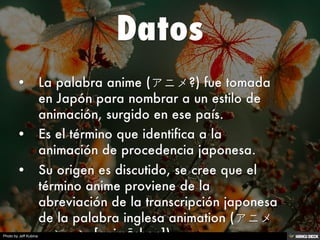 Photo by Jeff Kubina