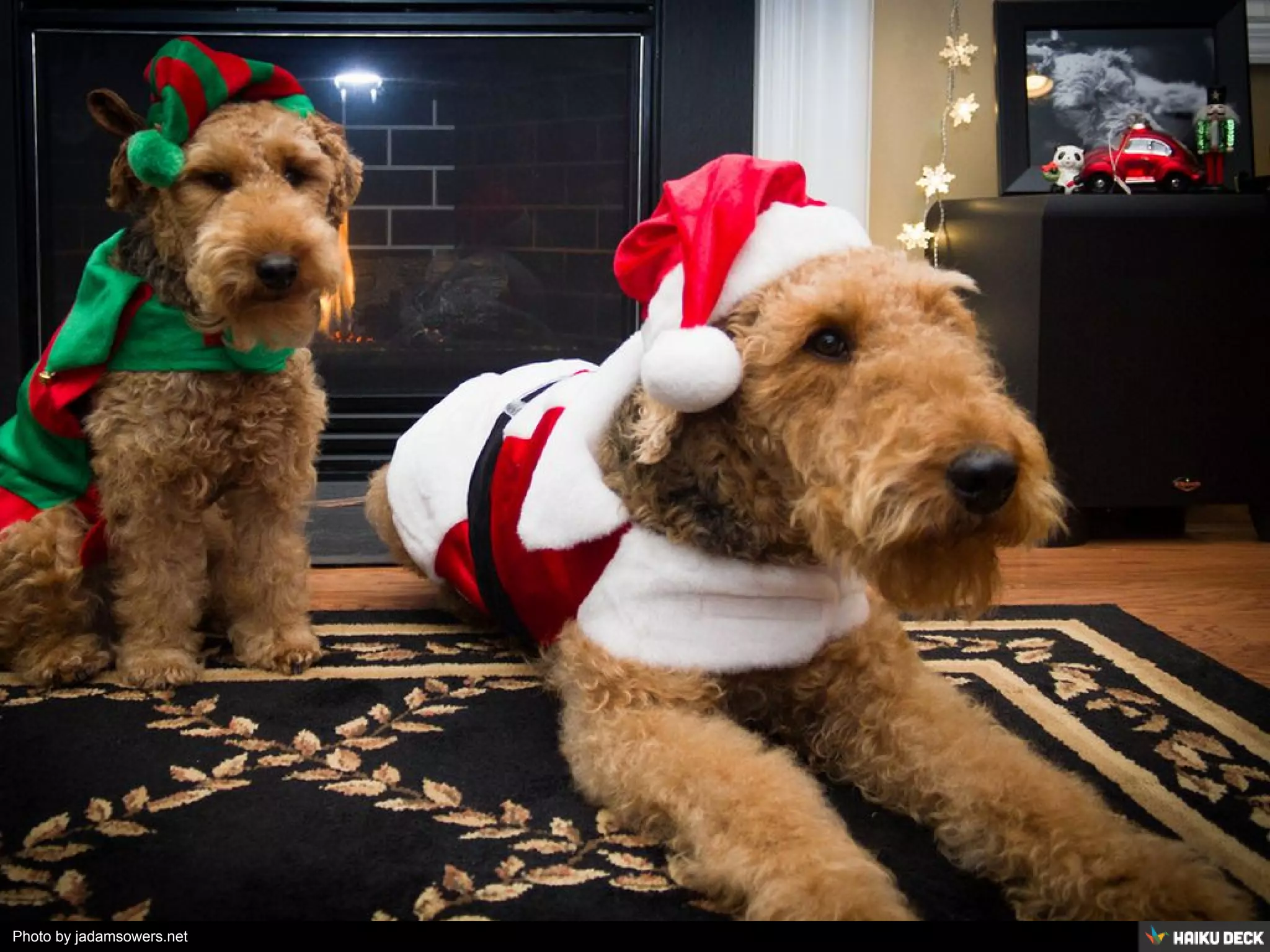 Photo by jadamsowers.net