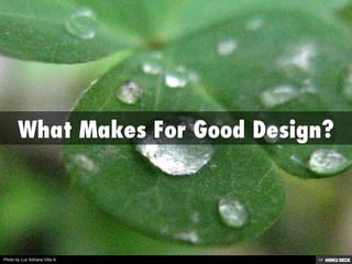 Photo by Luz Adriana Villa A.