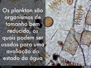 Avaliação de métodos de Segmentação mediante algoritmos de Machine Learning