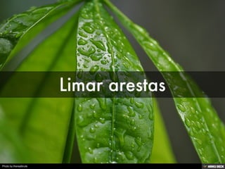 Photo by therealbrute
 