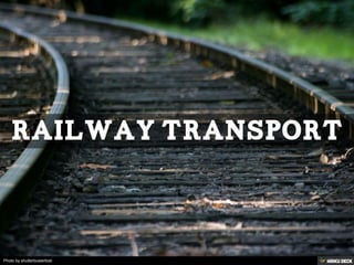 Photo by shutterbusterbob
 