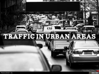 Photo by Daniel Y. Go
 