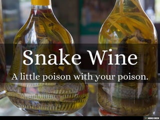 50+ Strange Foods from Around the World