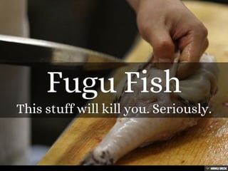 50+ Strange Foods from Around the World