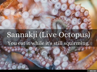 50+ Strange Foods from Around the World