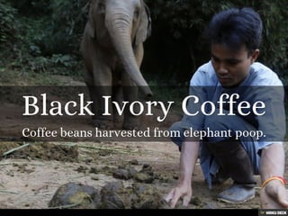 50+ Strange Foods from Around the World