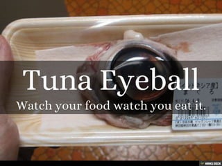 50+ Strange Foods from Around the World