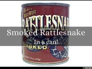 50+ Strange Foods from Around the World