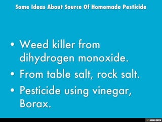 Homemade Weed Killer | PDF