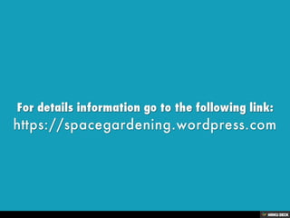 Homemade Weed Killer | PDF