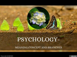 PSYCHOLOGY-  MEANING,CONCEPT AND BRANCHES 