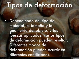 Photo by markel 2007
 