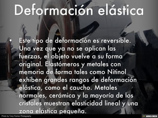 Photo by Tony Fischer Photography
 