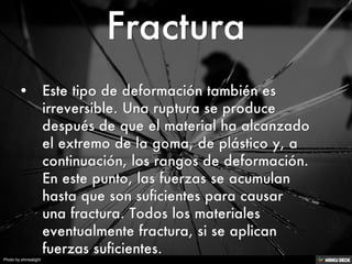 Photo by shinealight
 